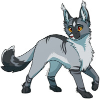 I wouldn't know where to start