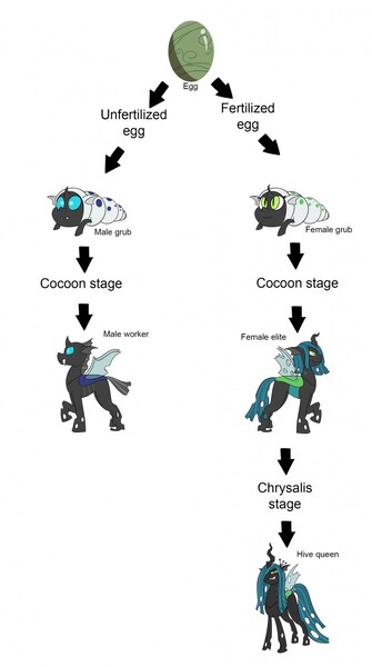 Mlp Headcanon Changelings By Deoix Fur Affinity Dot Net