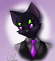Cat Daddy