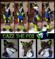 Introducing Cazz The Fox