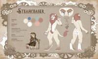 Steamchaser Reference Sheet