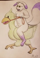 Wark!