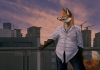 Sunset Fox [Commission]