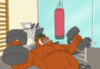 [jim55] Dumbbell Press