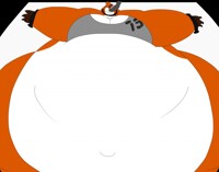 Product Testing - InstaFat