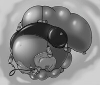 Wingu Helium Transport