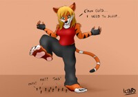 Drawbacks of owning Micros