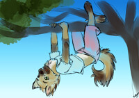 Amanda Agility Exercises