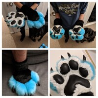 First handpaws