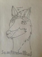Samfireballkat headshot