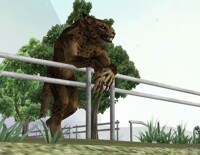 mirando al horisonte