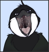 Bird Maw!