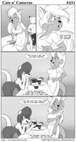 Cats n Cameras Strip 431 - Thanks for the show