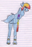 Thanksgiving SURPRISE.