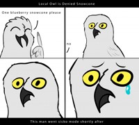 local owl denied snowcone