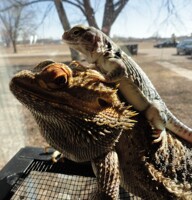 WHEN WILL IT BE WARM OUTSIDE?