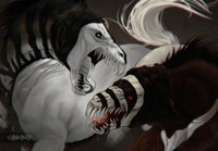 battle