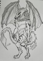 Serif Full (personal)