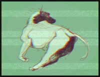 Run