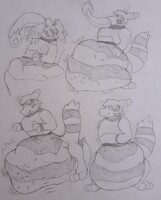 Furret noodle eats a Charizard