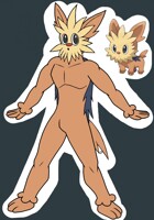 #506 Male Lillipup