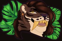 Tiger D A D D Y