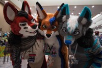 Crew of the K9BOOM