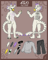 Ref Sheet by shikaro