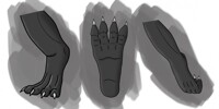 Black Dragon Paws