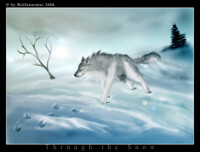 Through the Snow