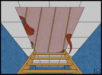 Dragon in the attic