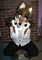 Cute coyote partial!