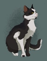 Curious Cat COMMISSION