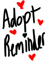 ADOPT REMINDER Swap/payment