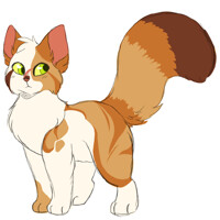 [PERSONAL] SpeckledNose