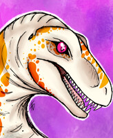 Raptor