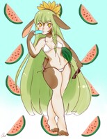 Watermelon Summer