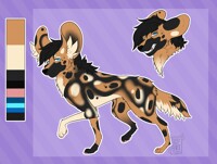 Reference Sheet - DJ4D