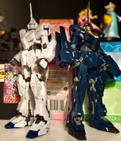 The White Unicorn and The Black Lion