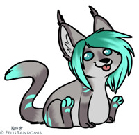 Desertwandererr Poot 2