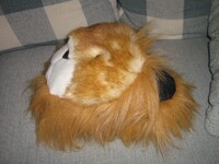 King of the Fuzzy Slipper Jungle
