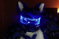 Rawr rawr