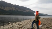 Explorer Fox