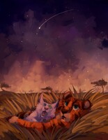 Night in the Savannah