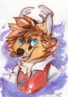 Emerson Water Paint By Meekor