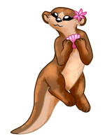 Otter