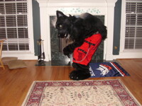 How I feel about the Broncos