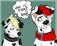 Who's That Dog?