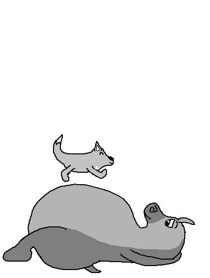 bouncing hippo