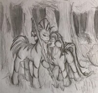 Zenit and Nadir - FONZOS